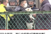 【犬】ヤクザさん、犬を抱っこしたまま警察とケンカしてしまう?