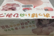【画像あり】Amazonでポチった男の夢である"オッパイ"が届いたゾォォォォｗｗｗｗ