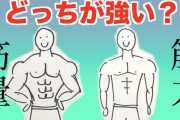 ガチで喧嘩強い奴が一番発達してる筋肉ｗｗｗｗｗｗｗ