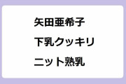 矢田亜希子｜下乳クッキリニット熟乳！朝からノースリーブ腋大解放