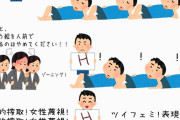 「フェミvsオタク」を表した風刺画がこれｗｗｗ