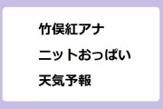 竹俣紅アナの意外と大きなニットおっぱい天気予報