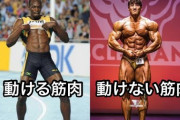 筋トレ民がどんなに否定しても「使える筋肉」「使えない筋肉」って絶対あるよな