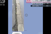 【悲報】ビッグモーター、除草じゃ飽き足らず草を燃やしていたwwwwwwwwwwwwwww