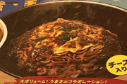 【画像】すき家の「焼きそば牛丼オムカレーMIX」が美味すぎるｗｗｗｗｗｗ