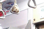 【画像】Twitter民「えっ？ちょっと待って！吊り革にオニギリ挟まってるw」