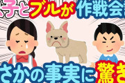 【2ch ほのぼの】息子と犬を一緒に遊ばせてたら、密かに作戦会議していた！作戦が実行された結果…