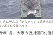 【悲報】クジラが１匹大阪湾に迷い込んだせいで8000万円もの血税を使ってしまう