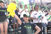 【画像】甲子園にえちえちチアwwwwwwwwwwww