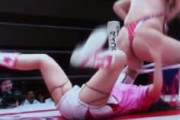 【画像】女子プロレスラーの生パン、意外にかわいいｗｗｗ