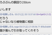 孫「祖母が育てました」「世界クラス100万超えだぞ！」植物民ザワつく