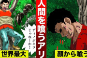【画像】世界最強の蟻！？ 『ディノポネラ』が強すぎる……ｗｗｗｗｗｗｗｗｗｗｗｗｗｗｗ　お前らじゃ絶対に勝てない…ｗ