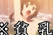 安部「えーつまり、つまりですね、貧乳の、貧乳キャラをですね、同人誌に載せる際に、多少胸を増やす」