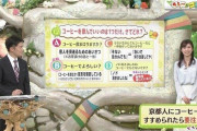 【クイズ】京都人「コーヒーのまはりますか？」