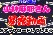 【5ch 2ch】小林麻耶さん、｢松居一代です｣の自己紹介から始まる暴露動画をアップロードしてしまう【ゆっくりまとめ】