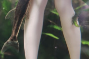 【画像】アクアリウムにフィギュアいれたらめっちゃヱロくなったｗ