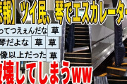 【2ch面白いスレ】【悲報】ツイッター民さん、琴でエスカレーターを破壊してしまうｗｗｗｗｗｗｗｗｗ　聞き流し/2ch天国