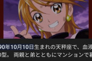 【悲報】初代プリキュアさん、今年で33歳ｗｗｗｗｗｗｗ