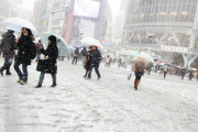 【速報】東京で雪