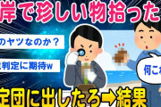 【2ch面白いスレ】海で見たことないもの拾った！鑑定団に出したろ➡︎結果ww【ゆっくり解説】