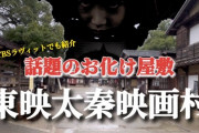 【悲報】空手5段の男性、お化け屋敷でパニックになりお化けのアゴを蹴ってしまう