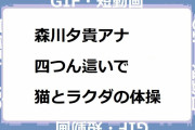 森川夕貴アナ｜四つん這いで猫とラクダの体操！スーパーJチャンネル