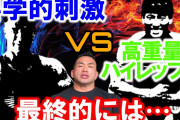 【どっちが】山本理論VS横川理論【正しいの】
