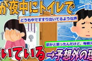 【2ch修羅場スレ】夜な夜な妻がトイレで泣いている。俺「最近体調悪い？悩みある？」妻「あるわけないじゃーん！」俺「・・・」→予想外の理由【ゆっくり解説】