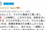 【画像】マスク関連商品で通販業者に騙されてしまった女性が発狂し、怒りのレビュー