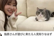 【悲報】もちまるさん、またまた家に美女を連れ込んでしまう