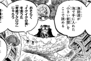 【悲報】ワンピース、ありえない致命的な矛盾が発見されるwwww