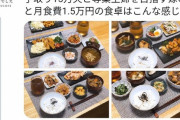 【画像】手取り15万円の夫に寄生する専業主婦の作る食事がこれ  はあ…