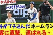 【MLB】大谷翔平の本塁打がスタンドの男性ファンの頭部付近に直撃　救護室へ搬送…　東京ドーム