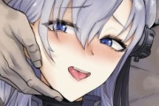 艦これとかアイマスの同人イラストってなんでみんな同じ男好きにさせられがちなんや？