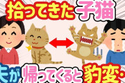 【2ch ほのぼの】子猫を拾ってきて家で飼い始めたのだが、夜に夫が仕事から帰ってくる度になぜか豹変する…