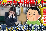 【2ch面白いスレ】女子高生にワキガだと指摘した結果wwww【ゆっくり解説】