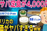 【2ch知識教養スレ】塩サバ定食が4,000円！アメリカの物価がヤバすぎるww【ゆっくり解説】