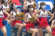 【画像】慶応の甲子園チアさん、ちょっぴりエッチな太ももを披露😍ｗｗｗｗｗｗｗｗｗｗｗｗｗ