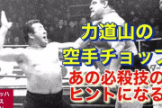 力道山の空手チョップと普通の人のチョップの違いが分からないｗｗｗｗｗ