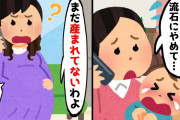【2chスカッとスレ】生後８ヶ月の子供を毎日妹の家に預ける姉。妹「流石に毎日はキツイよ…」姉「まだ産まれてないわよ…」【ゆっくり】