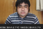 【朗報】「100日後に食われるブタ」さん、生き返るｗｗｗｗｗｗｗｗｗｗ