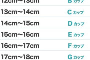 【画像】おㄘんㄘんを胸のサイズに例えるとこうなる！あなたのおㄘんㄘんは何カップ？