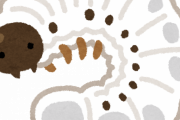 【画像】☜これ何の幼虫だか分かるか？？？？？