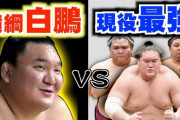 路上での何でもありの喧嘩なら最強って白鵬？
