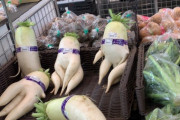 【画像】大根さん、野菜売り場でくつろいでしまうｗｗｗｗｗｗｗｗｗｗ