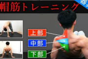 僧帽筋トレーニングとかいうコスパ最強筋トレWWWWWWWWW