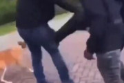 【動画】移民黒人、大笑いしながら意味もなく犬の散歩中のヨーロッパの老人を蹴り倒す
