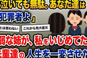 先輩「ﾋｸﾞｯ…ｸﾞｽｯ…先生助けて…」教員「この子達にも未来が…」→姉の答えは…【2ch修羅場スレ・ゆっくり解説】