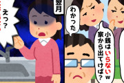 【2chスカッとスレ】嫁「手取り15万って恥ずかしくないの？小銭ならいらないw」と言われ、大人しく言われた通りにしたら…【ゆっくり】