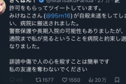 【悲報】みけねこさん自刹未遂──…